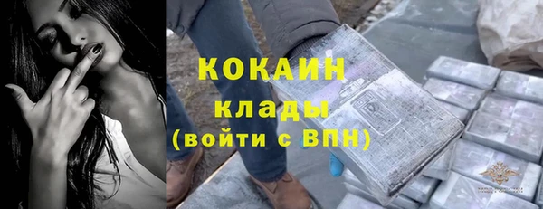 дживик Верея