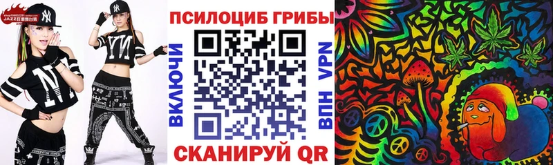 даркнет сайт  Вязники  Псилоцибиновые грибы мицелий 