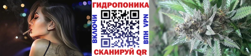 цена Вязники Каннабис OG Kush